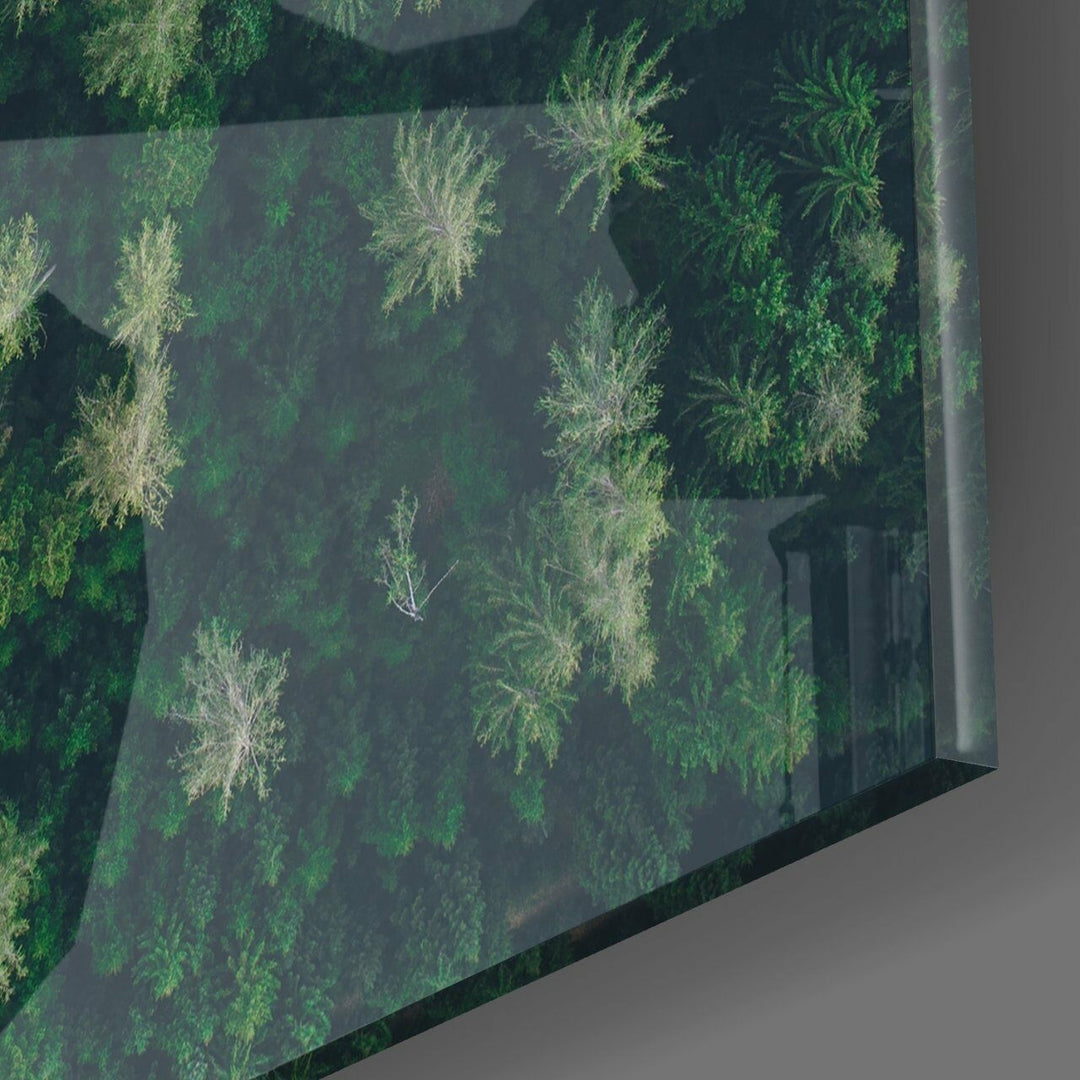 Orman Yolu Cam Tablo