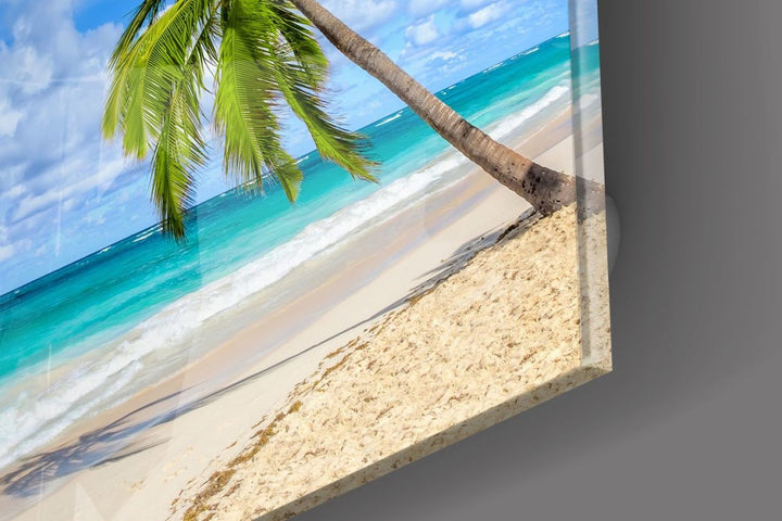 Palmiye Ağacı Cam Tablo No:1083