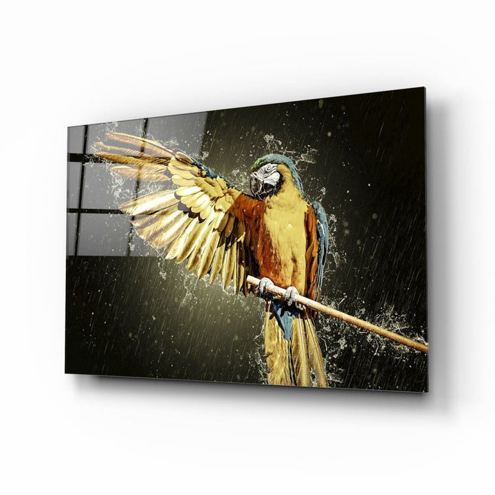 Papağan Cam Tablo