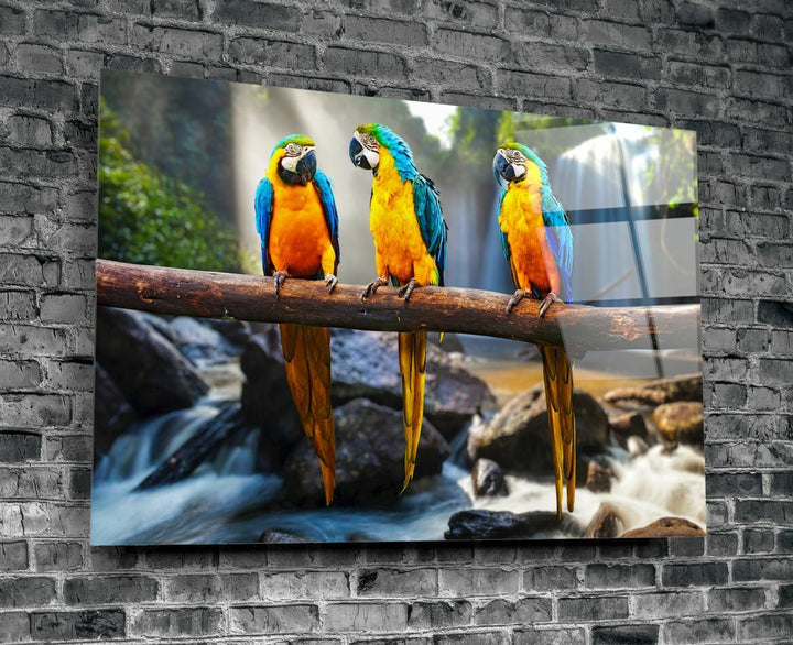 Papağanlar Cam Tablo No:1136