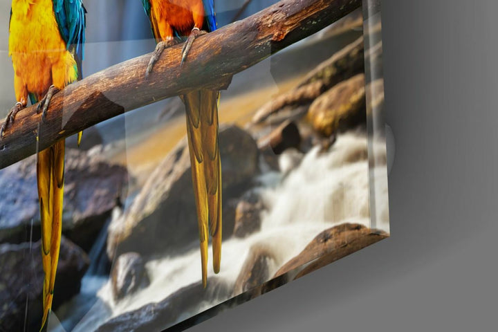 Papağanlar Cam Tablo No:1136