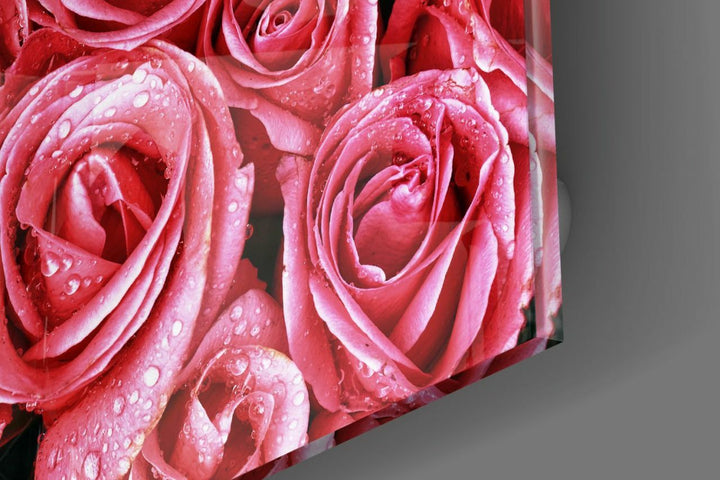 Pembe Güller Cam Tablo