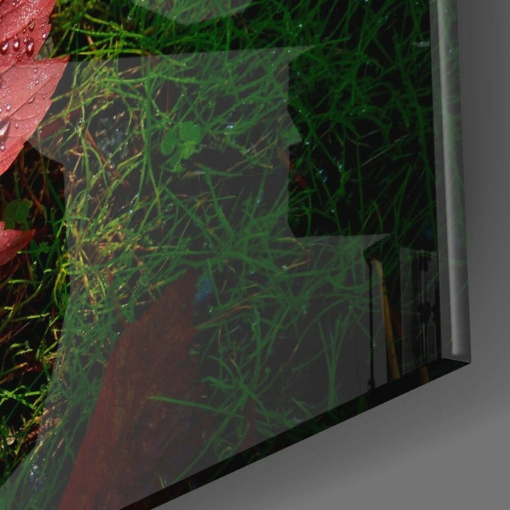 Pembe Yaprak Cam Tablo