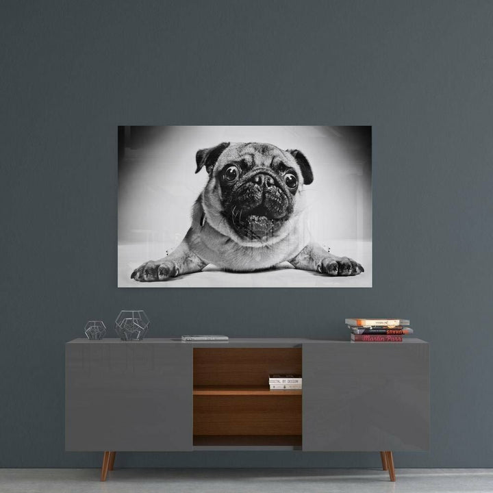Pug Köpek Cam Tablo No:1043