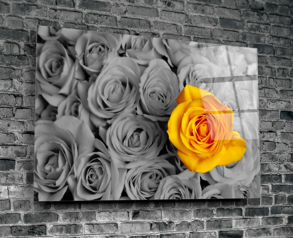 Sarı Gül Cam Tablo