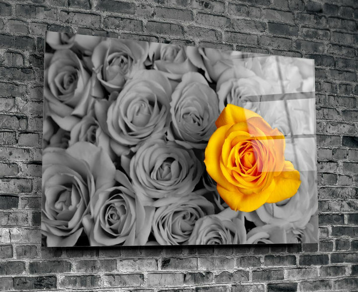 Sarı Gül Cam Tablo