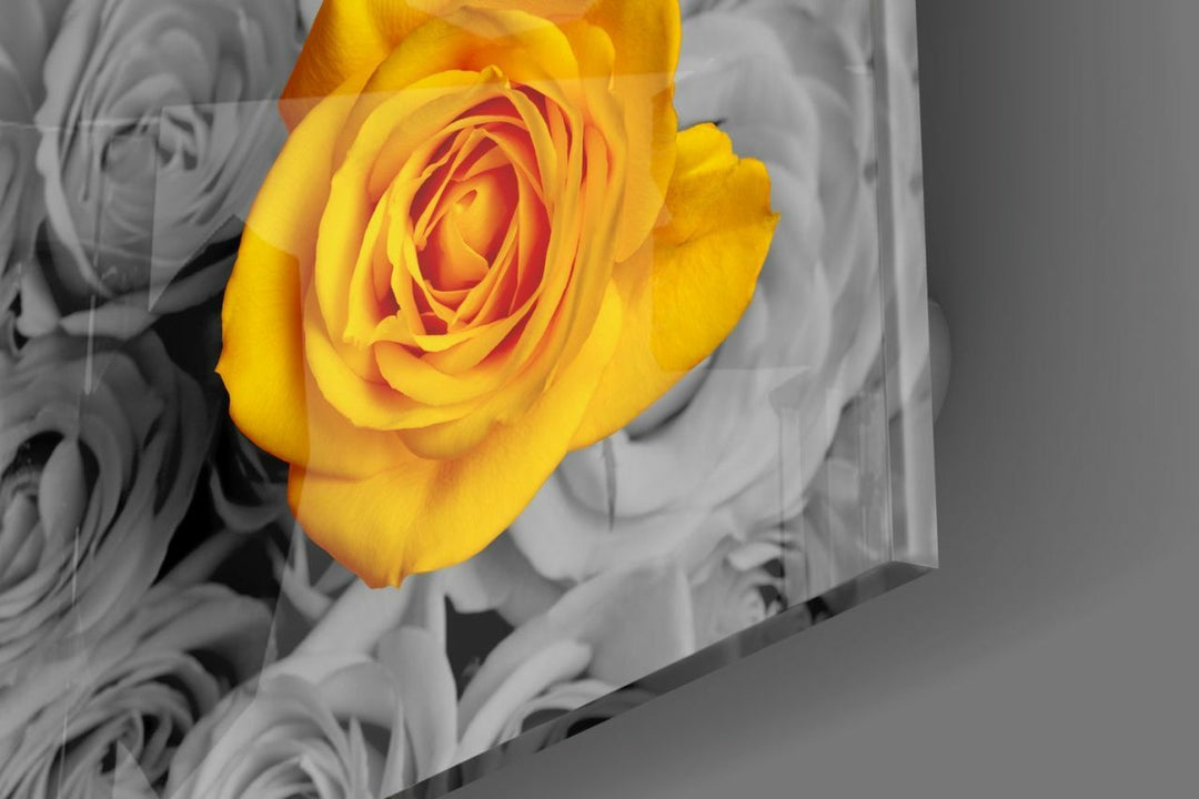 Sarı Gül Cam Tablo