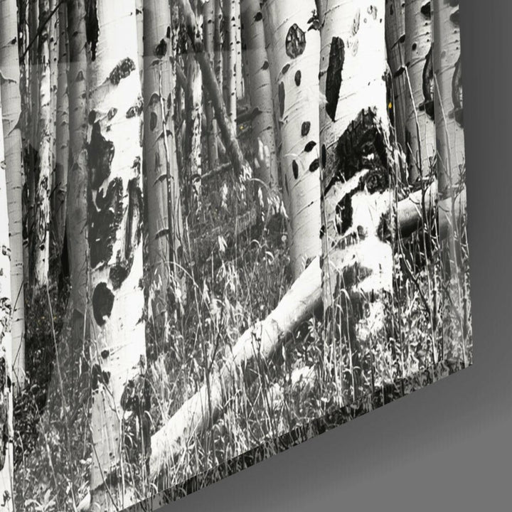 Sarı Orman Cam Tablo