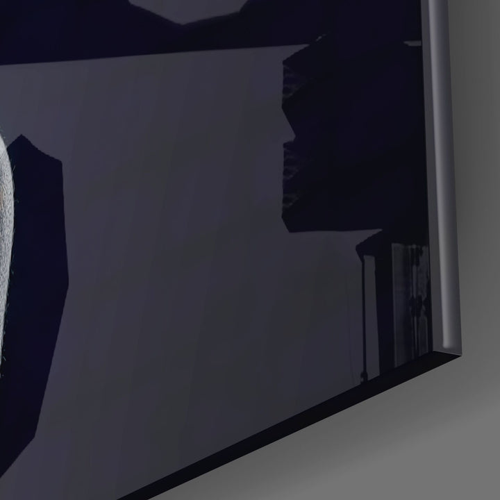 Sessiz Ol Kurukafa Kadın Cam Tablo