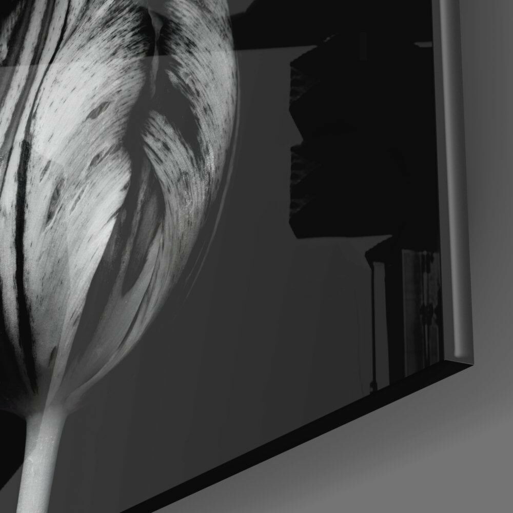 Siyah Beyaz Çiçekler Cam Tablo