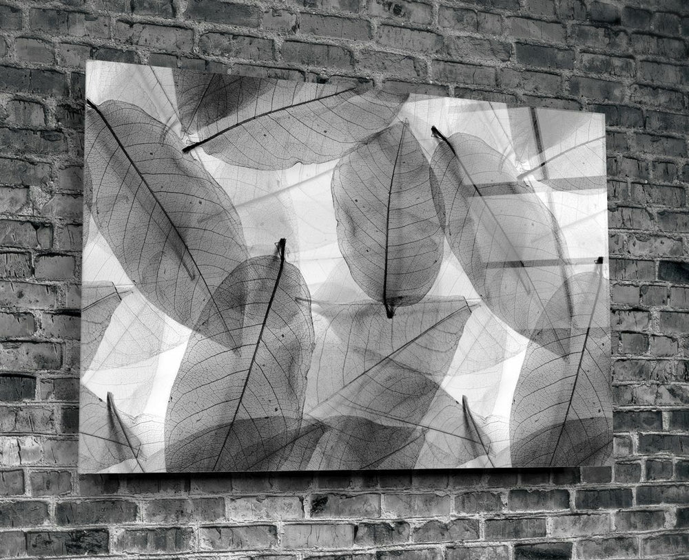 Siyah-Beyaz Yapraklar Cam Tablo