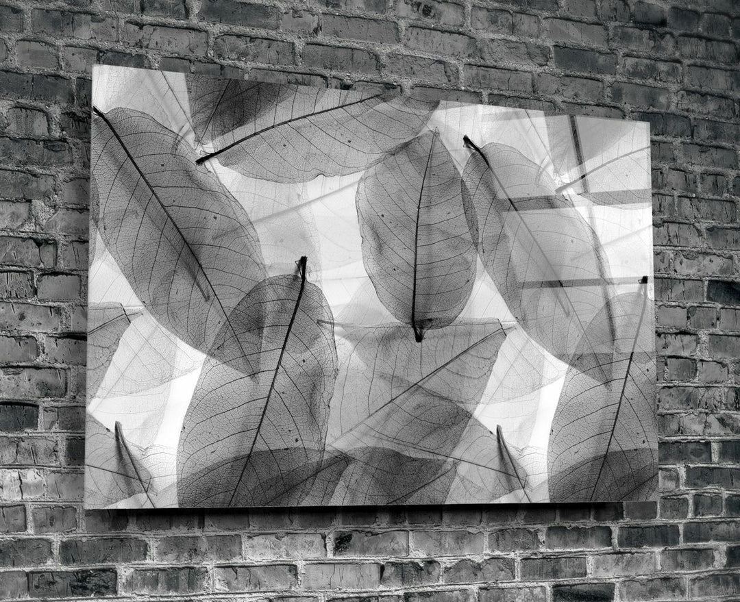 Siyah-Beyaz Yapraklar Cam Tablo