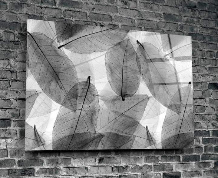 Siyah-Beyaz Yapraklar Cam Tablo