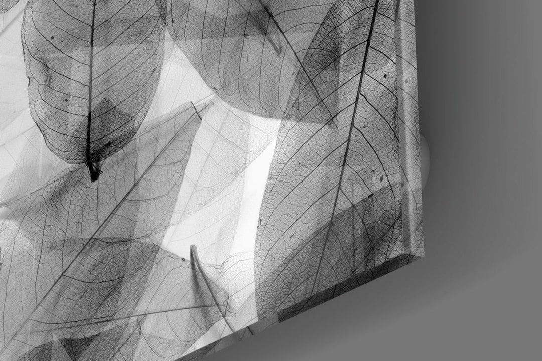 Siyah-Beyaz Yapraklar Cam Tablo