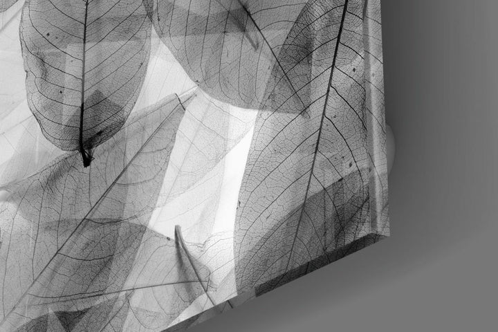 Siyah-Beyaz Yapraklar Cam Tablo