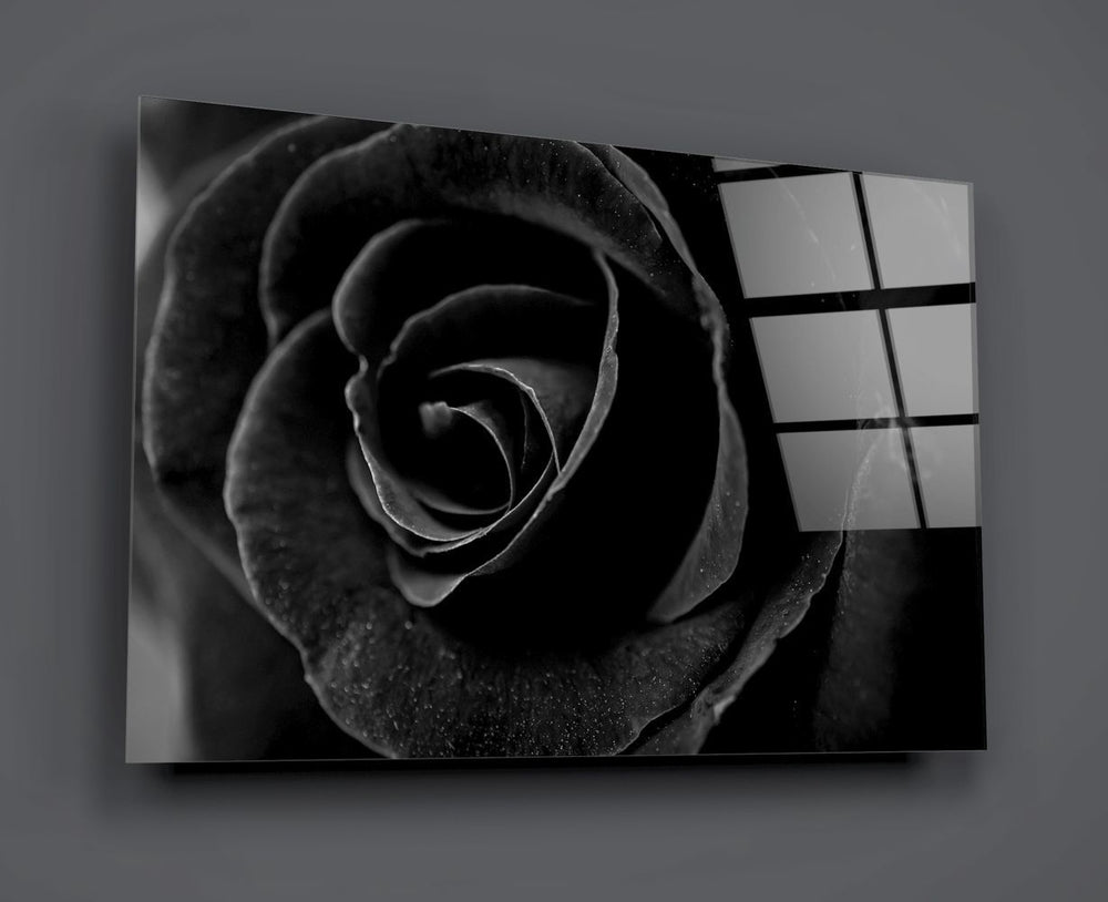 Siyah Gül Cam Tablo