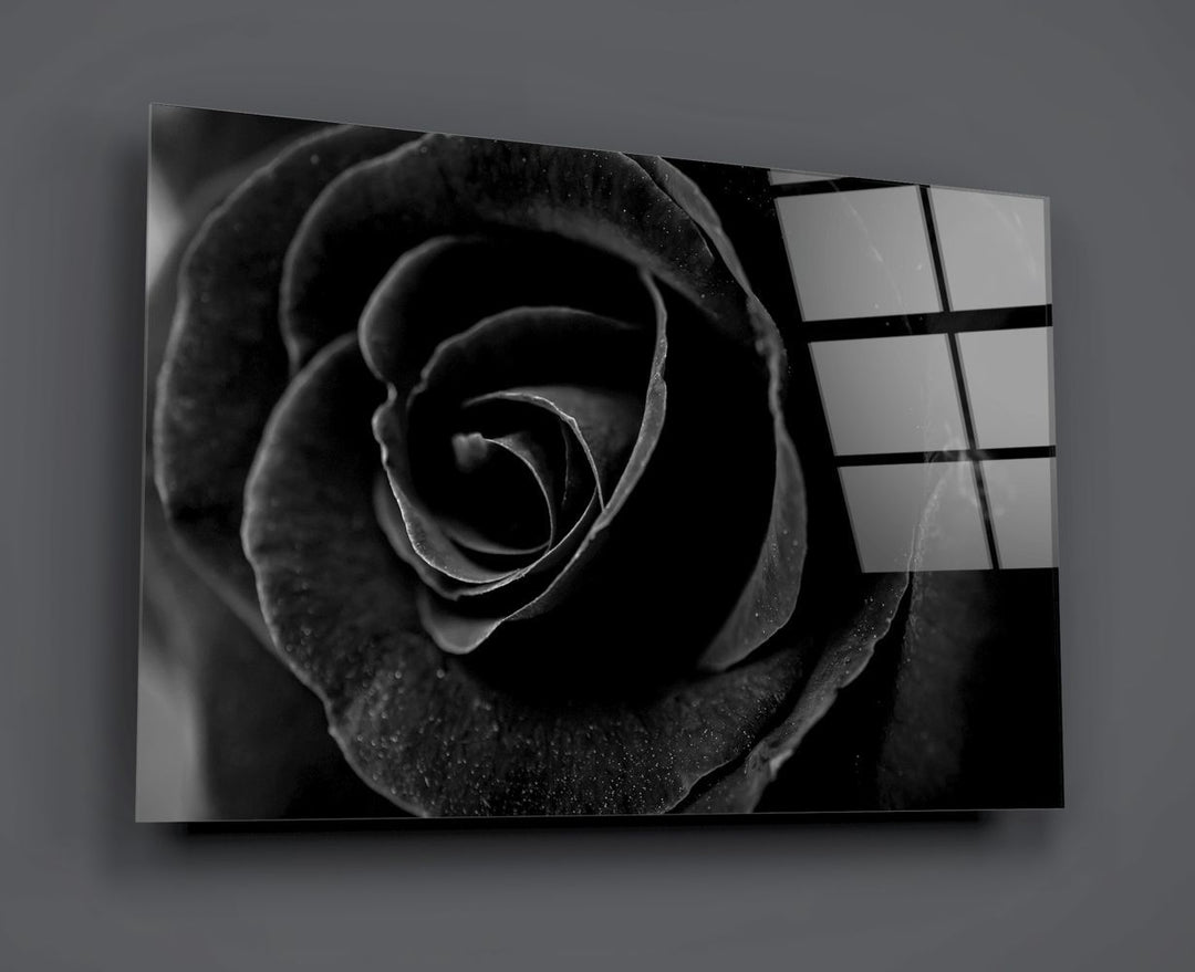 Siyah Gül Cam Tablo