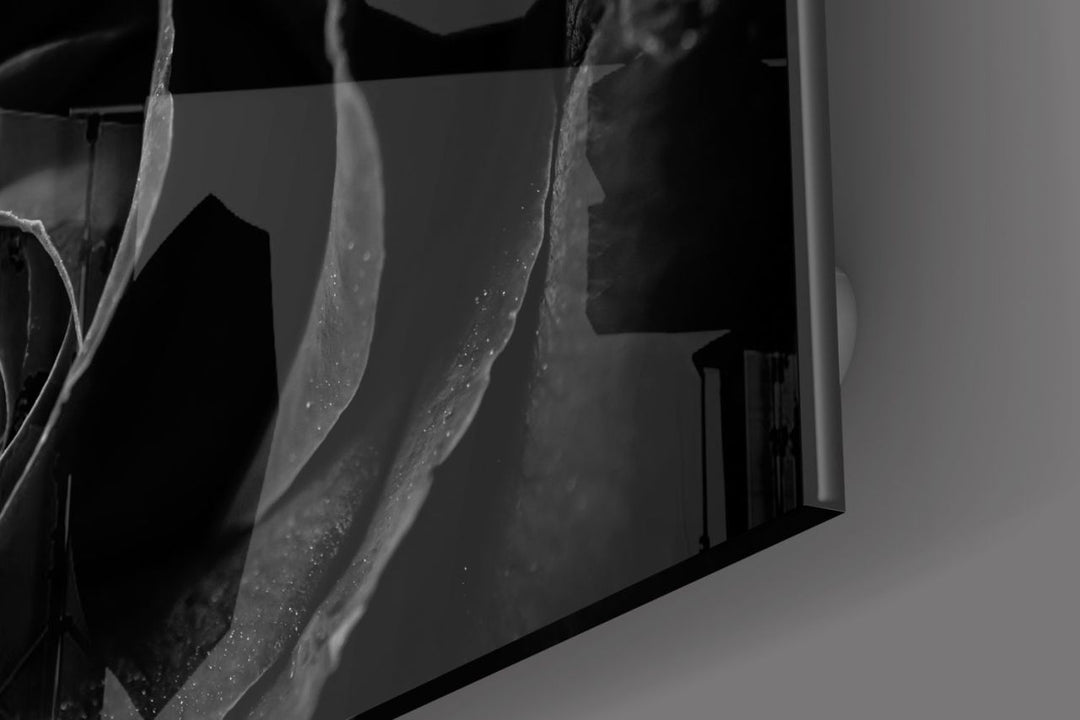 Siyah Gül Cam Tablo