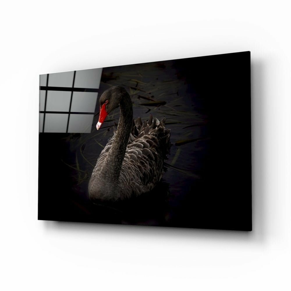 Siyah Kuğu Cam Tablo