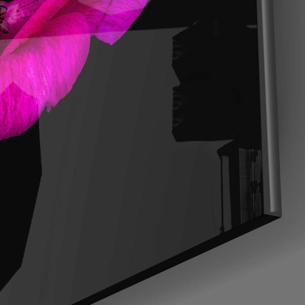 Taçlı Dağ Lalesi Cam Tablo