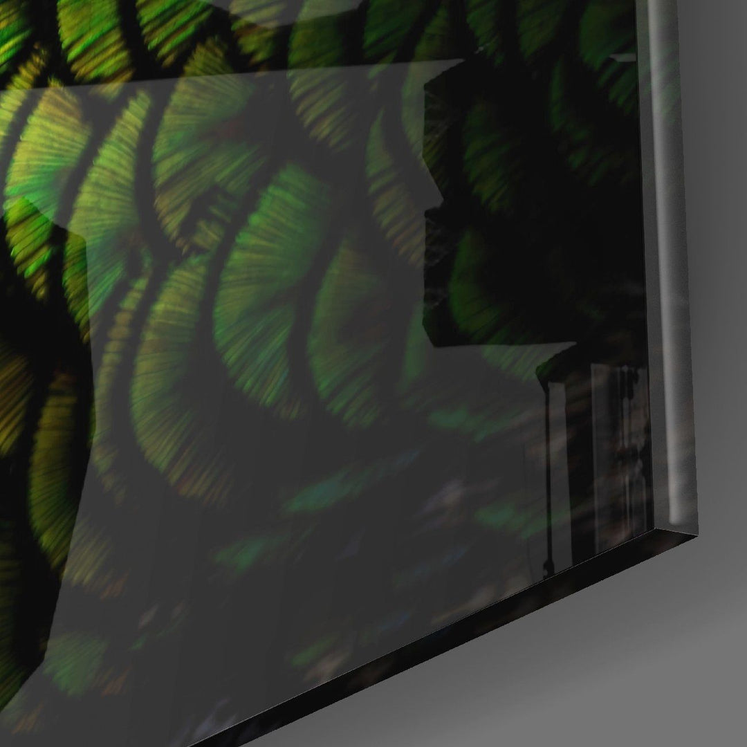 Tavuskuşu Cam Tablo