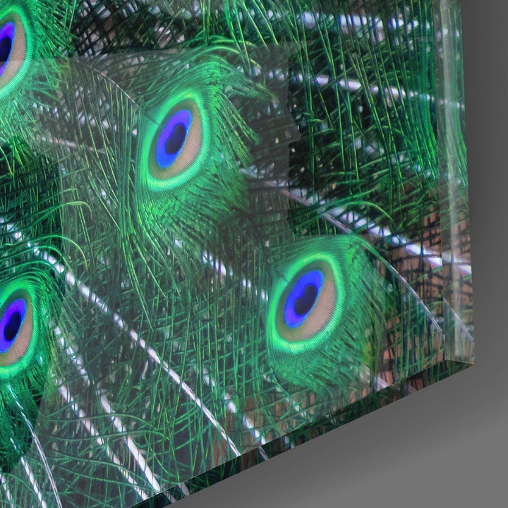 Tavuskuşu Cam Tablo