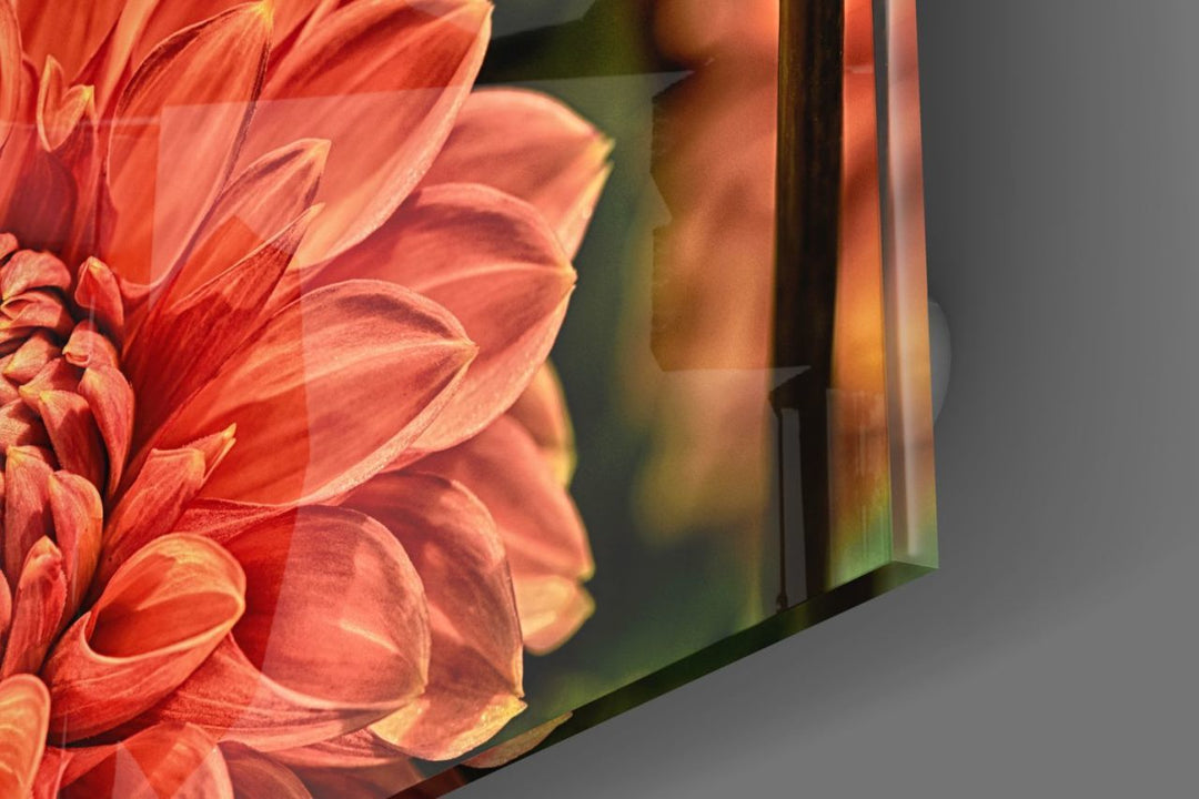 Turuncu Gerbera Cam Tablo