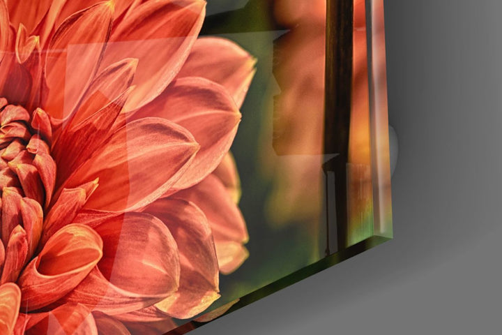 Turuncu Gerbera Cam Tablo