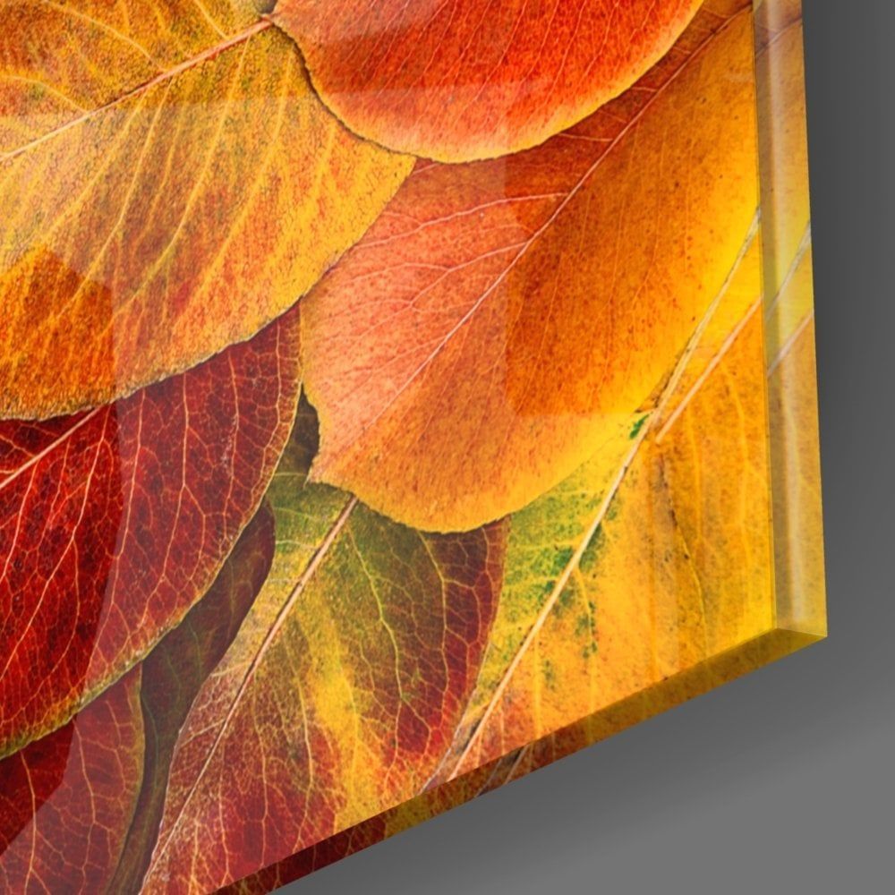 Turuncu Yapraklar Cam Tablo