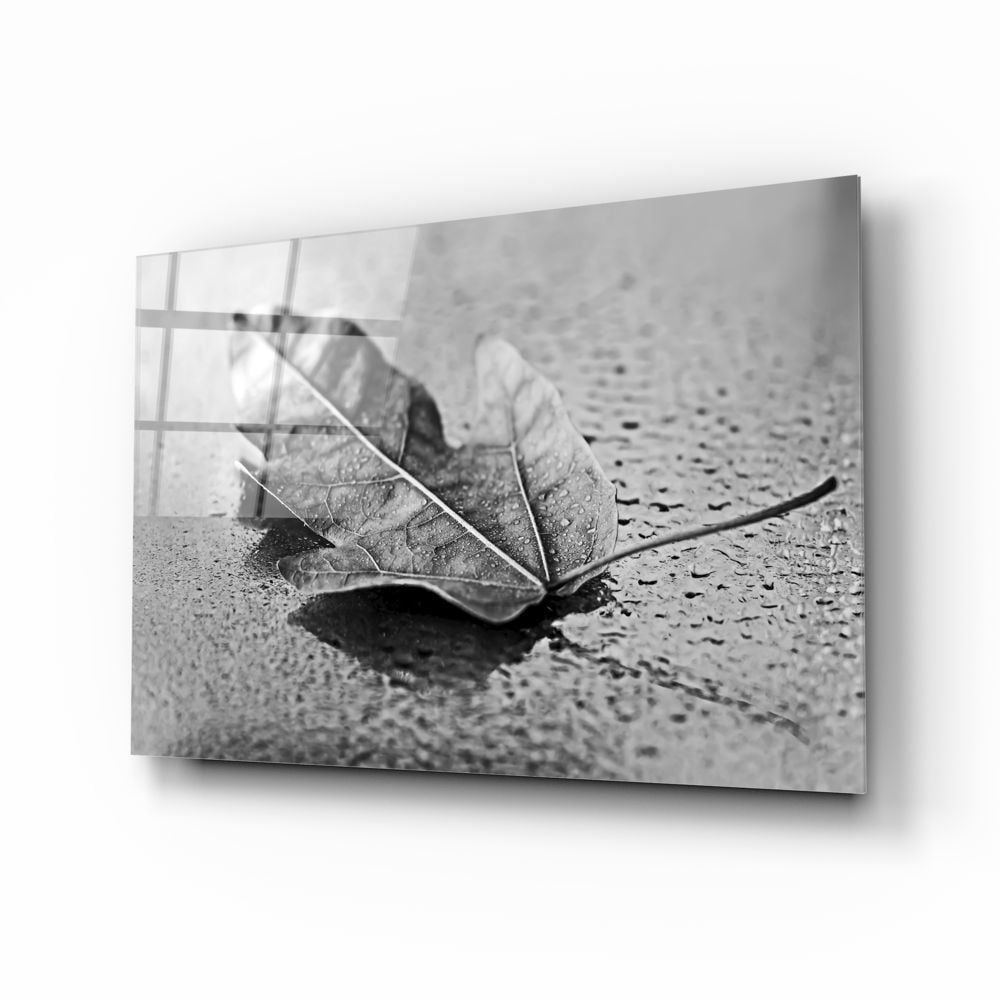 Yaprak Cam Tablo