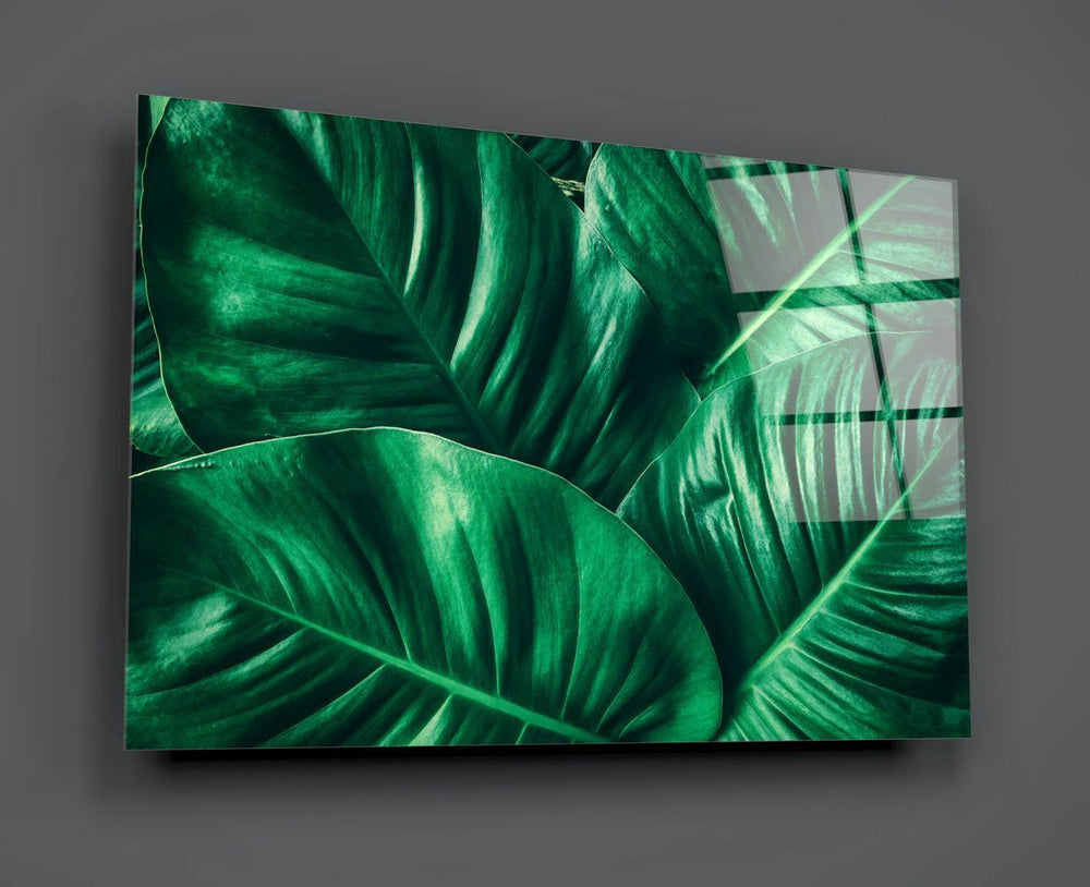 Yeşil Tropik Yaprak Cam Tablo No:1191