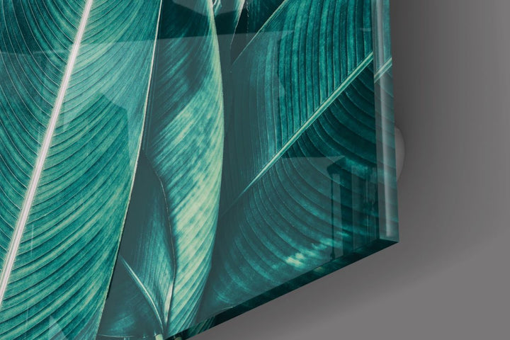 Yeşil Tropik Yaprak Cam Tablo No:1192