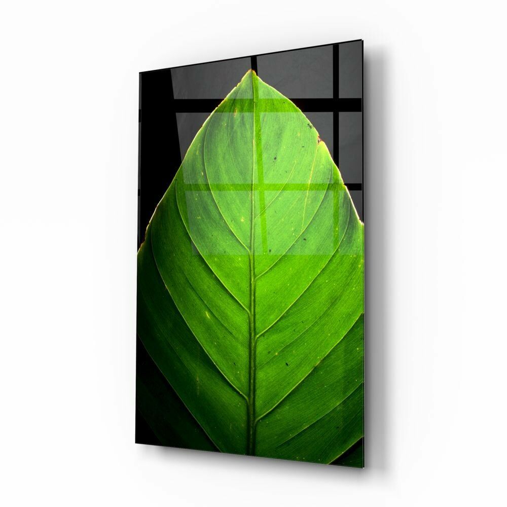 Yeşil Yaprak Cam Tablo