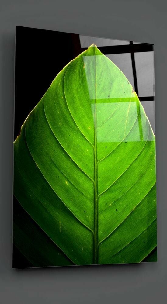 Yeşil Yaprak Cam Tablo