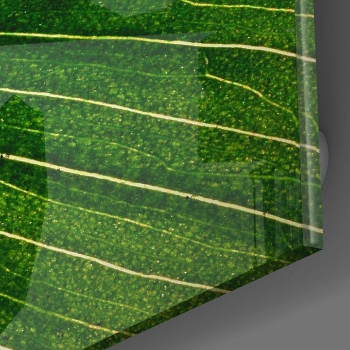 Yeşil Yaprak Cam Tablo