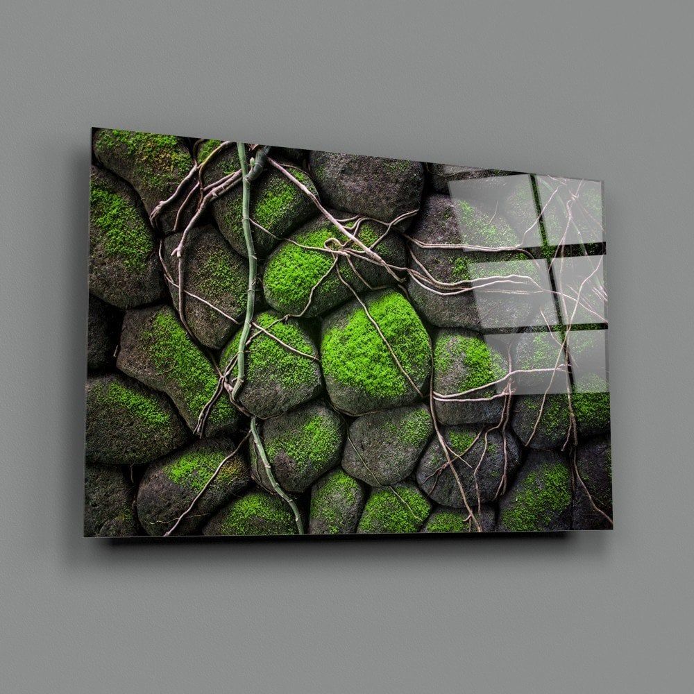 Yosunlu Taşlar Cam Tablo
