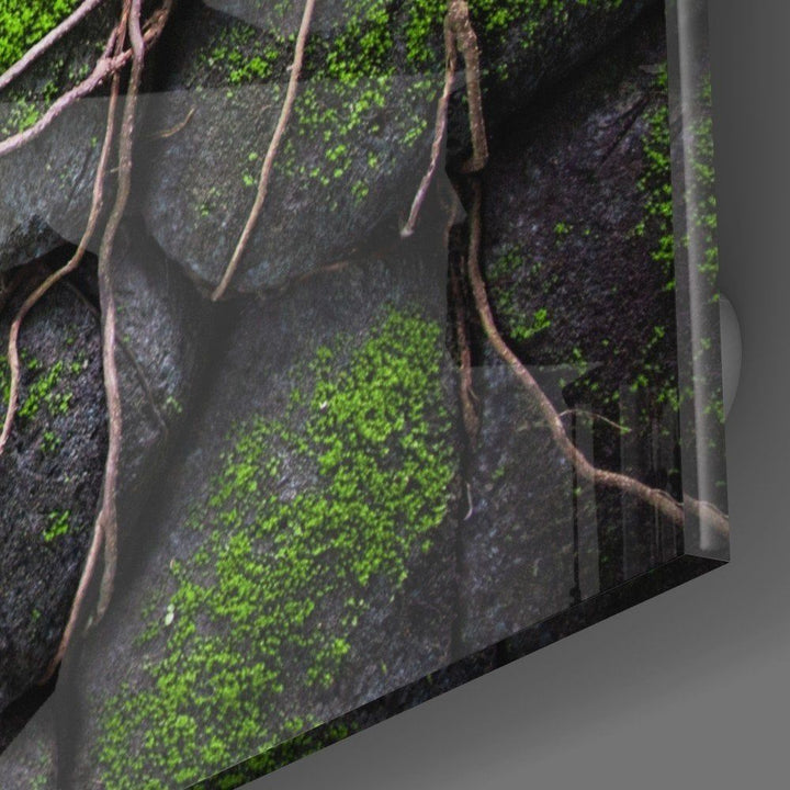 Yosunlu Taşlar Cam Tablo