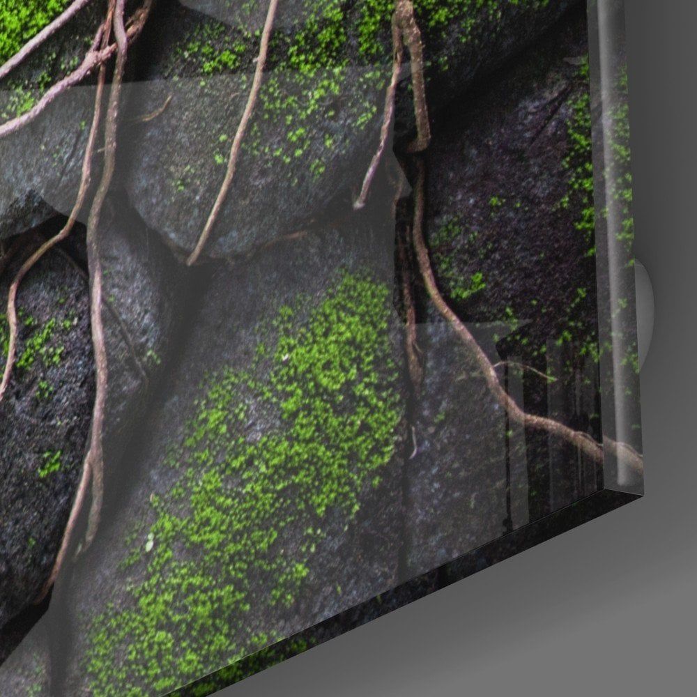 Yosunlu Taşlar Cam Tablo