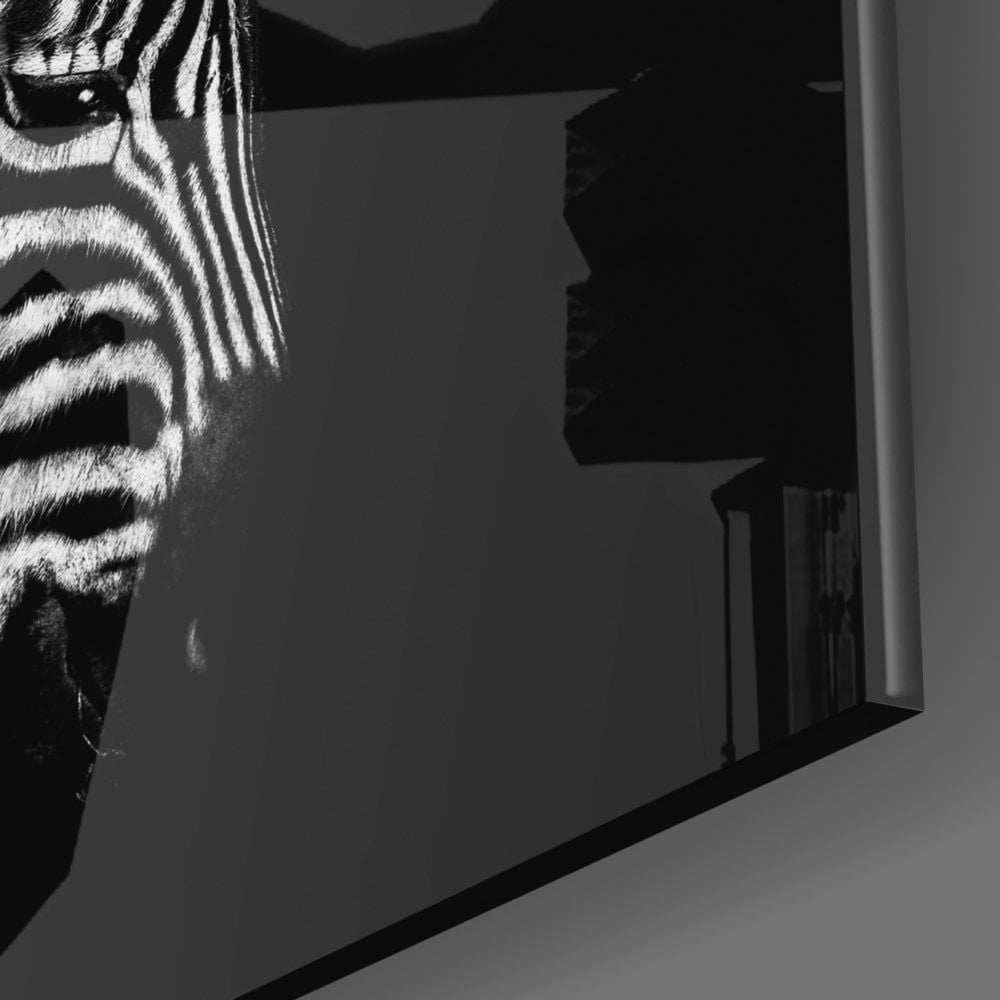 Zebra Cam Tablo