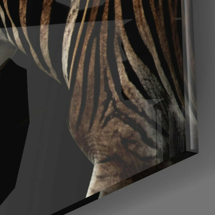 Zebra Cam Tablo No:1048