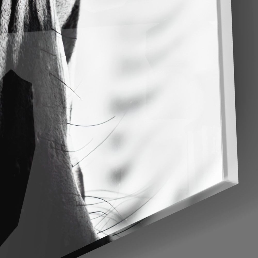 Zebra Cam Tablo No:8047