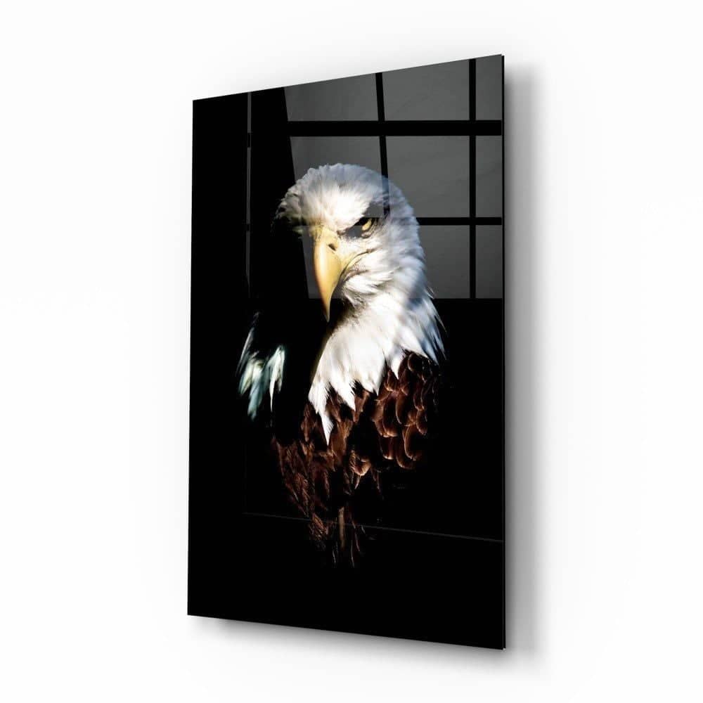 Kartal Cam Tablo No:5062