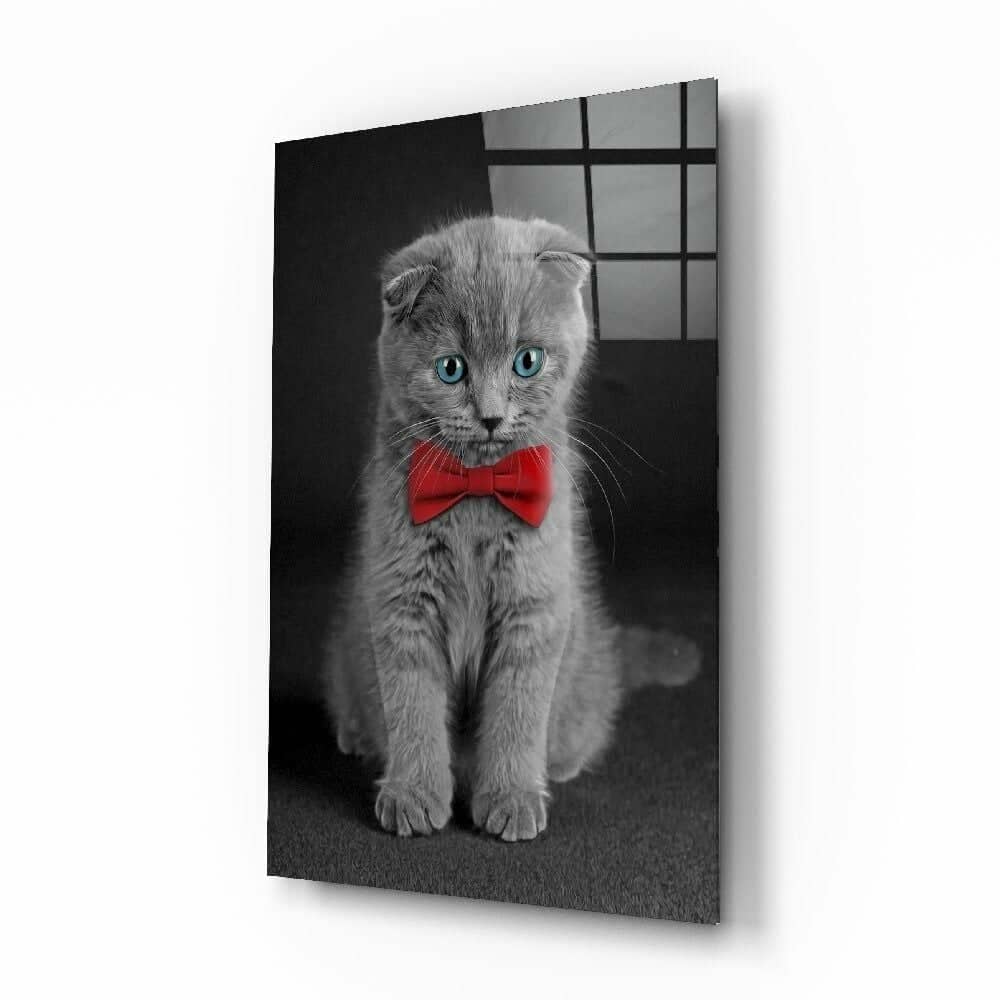 Kedi Cam Tablo