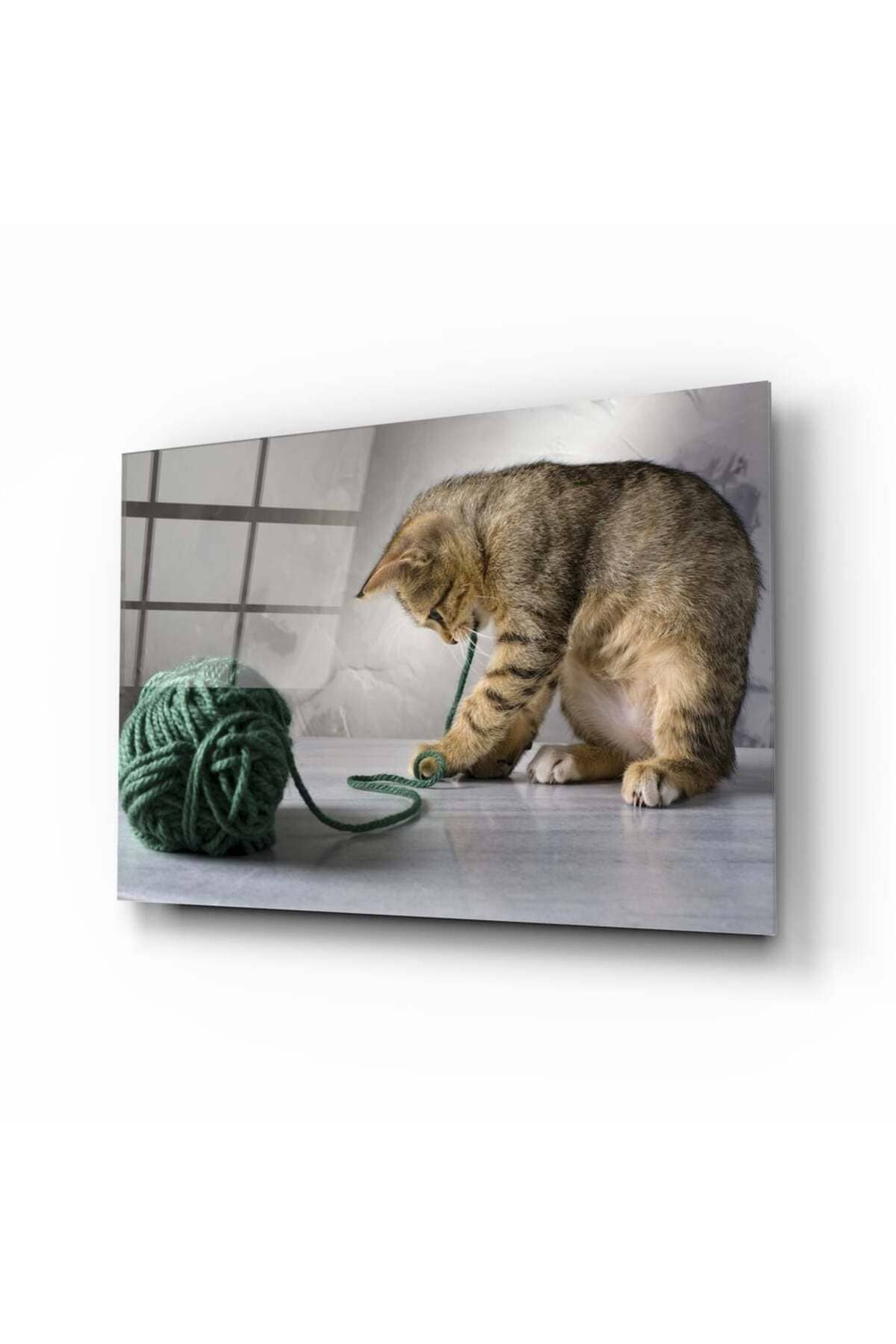 Kedi Cam Tablo No:1103 | Hediyelik, Dekoratif, Ofis, Mutfak