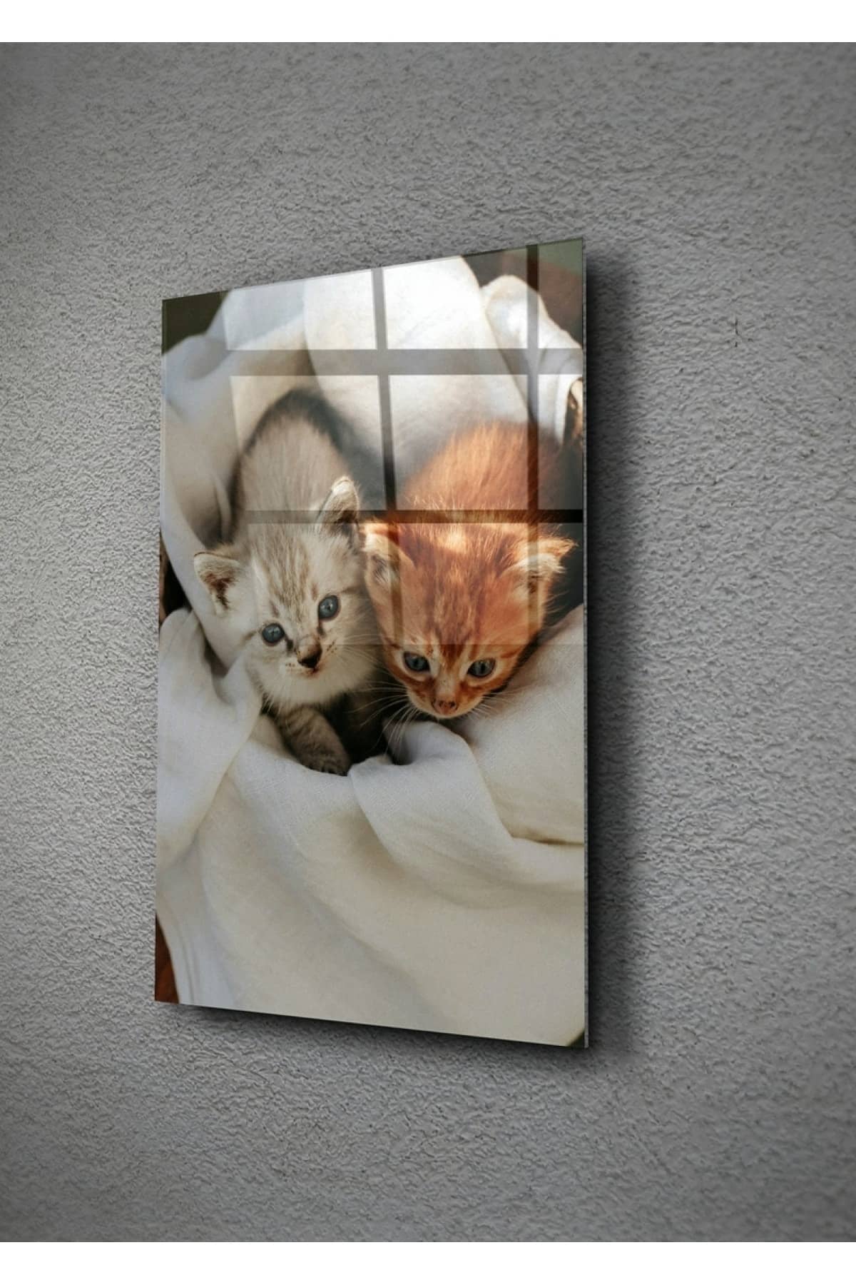 Kedi Yavruları Cam Tablo