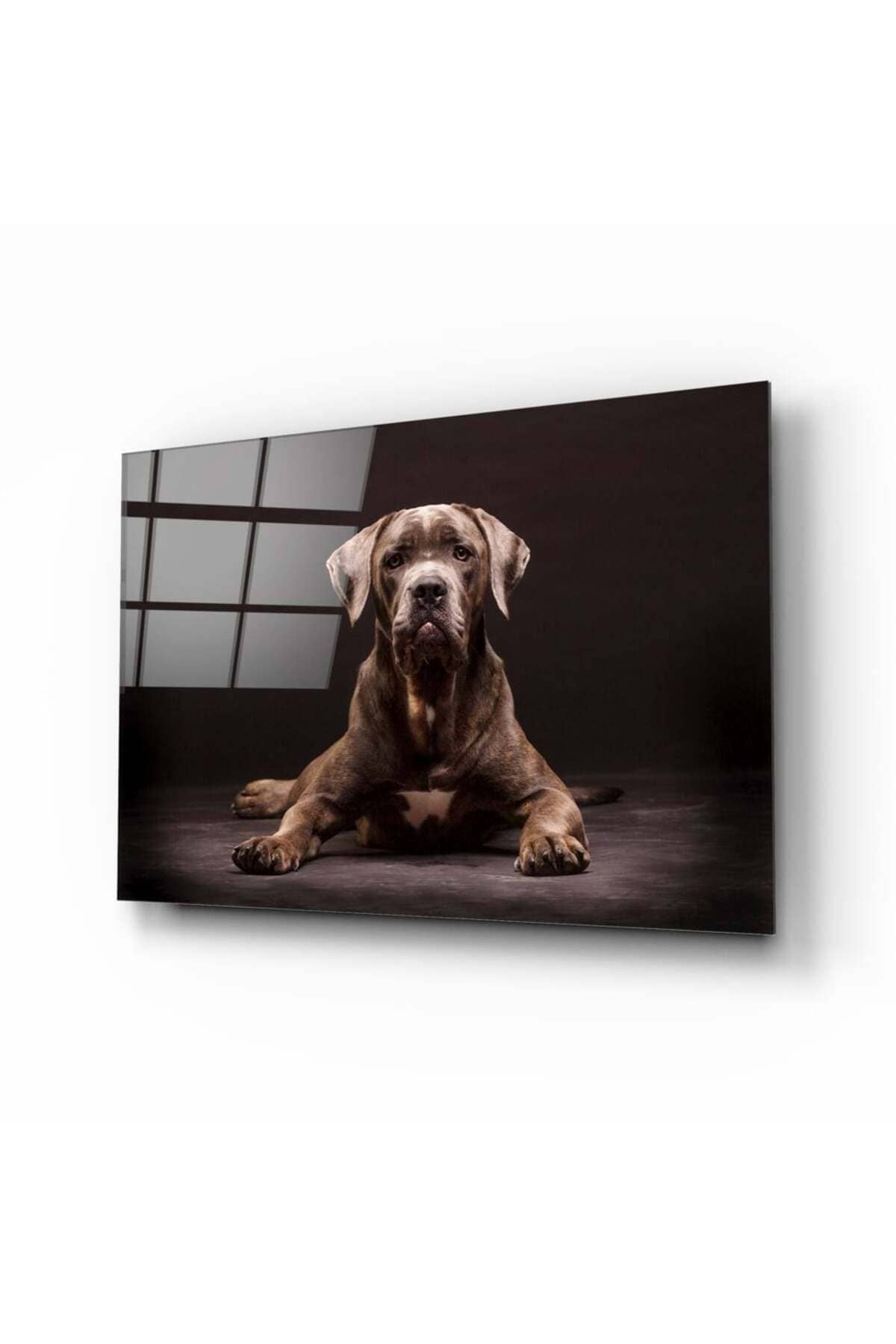 Köpek Cam Tablo No:1180 | Hediyelik, Dekoratif, Ofis, Mutfak