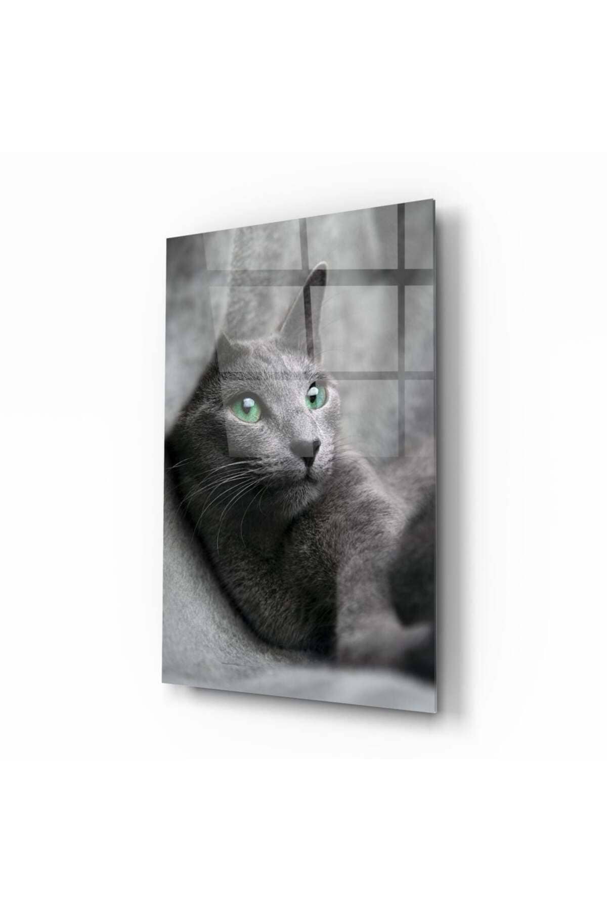 Kedi Cam Tablo | Hediyelik, Dekoratif, Ofis, Mutfak