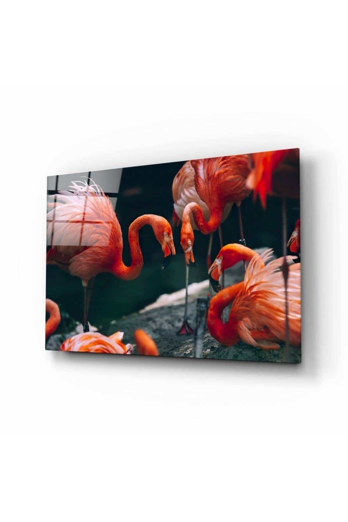 Flamingolar Cam Tablo | Hediyelik, Dekoratif, Ofis, Mutfak