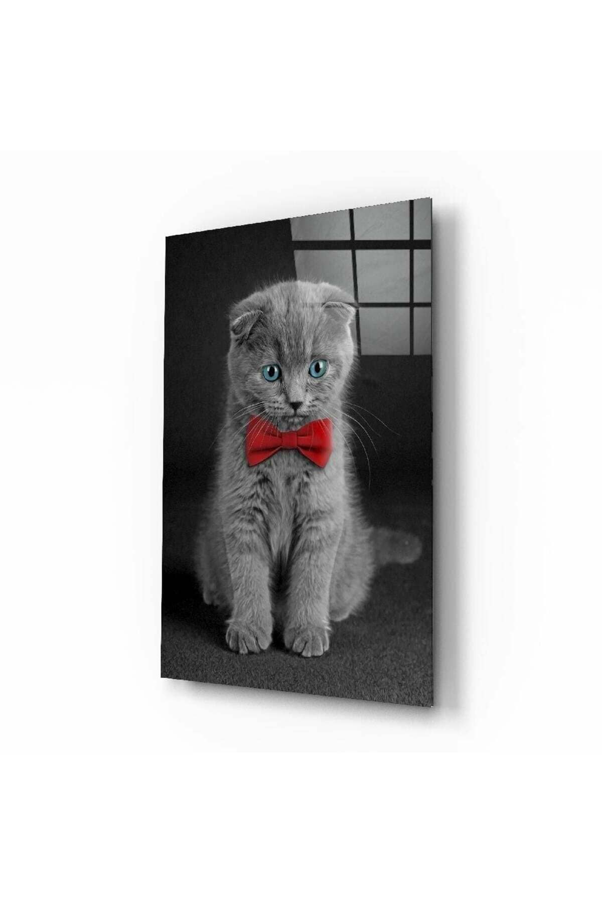 Kedi Cam Tablo | Hediyelik, Dekoratif, Ofis, Mutfak