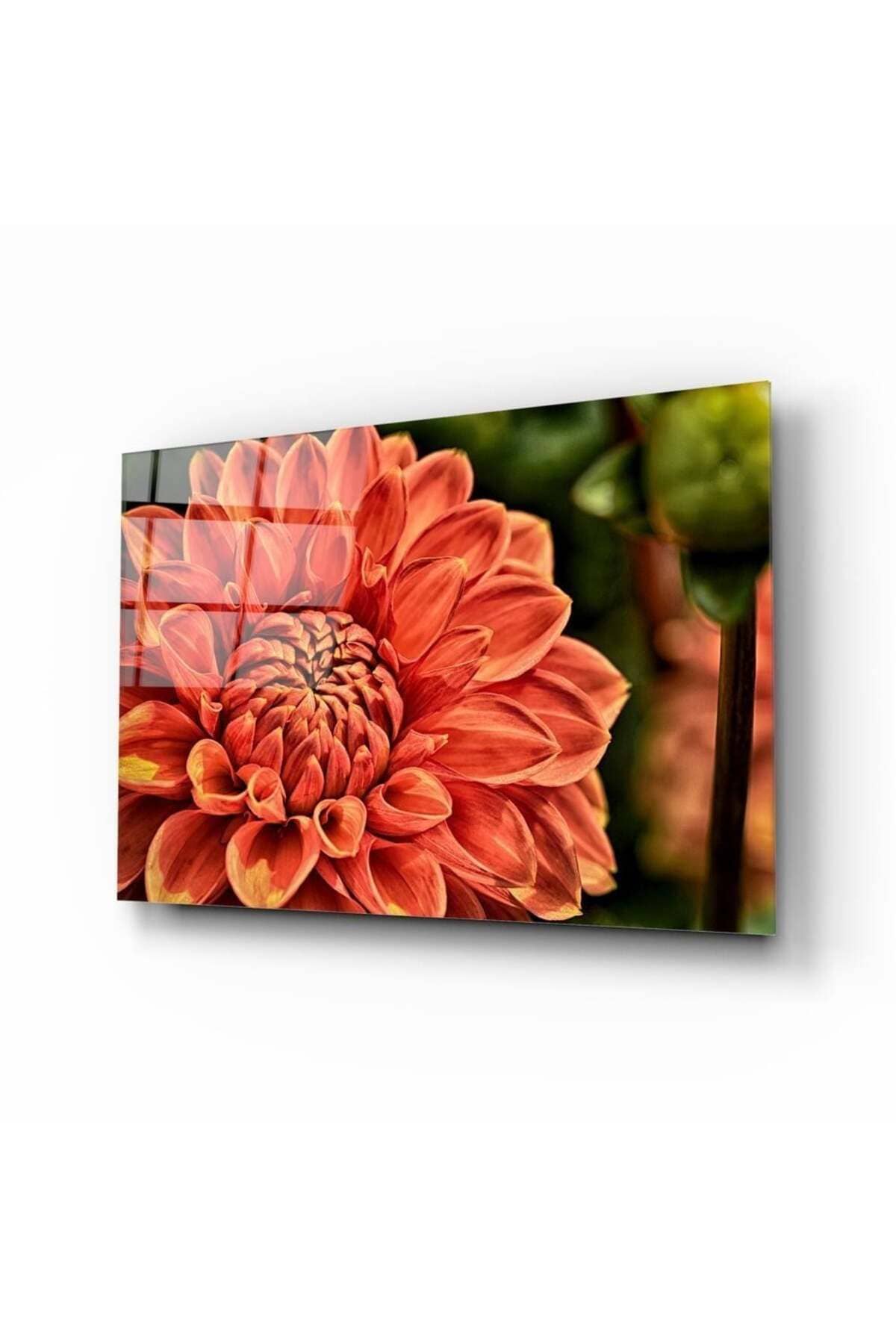 Turuncu Gerbera Cam Tablo | Hediyelik, Dekoratif, Ofis, Mutfak